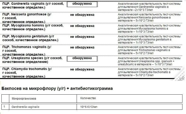 Гарднерелла у мужчин причины возникновения. Гарднерелла у мужчин причины возникновения. Гарднерелла у мужчин причины возникновения. Возбудитель гарднереллеза. Гарднерелла у мужчин причины возникновения.