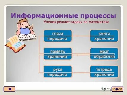 Чтение книги относится к информационным процессам