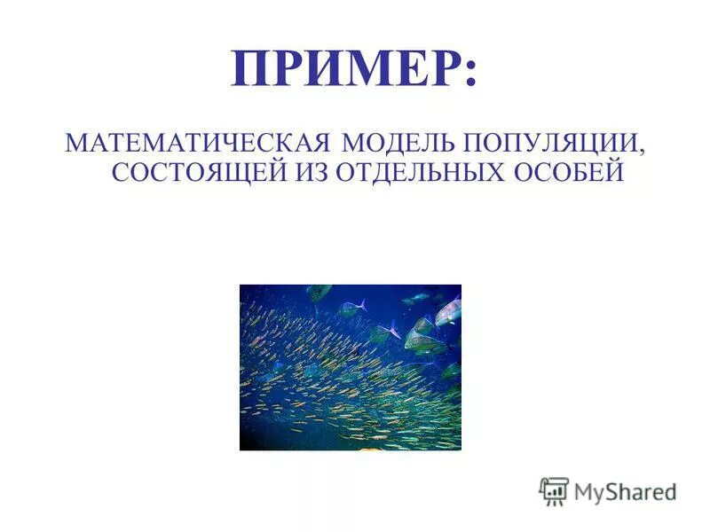 модель хищник жертва график. графики роста численности популяции. моделирование роста популяций. экспоненциальный рост численности популяции. биологические модели примеры.