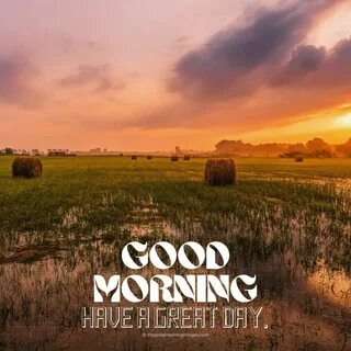 Last morning