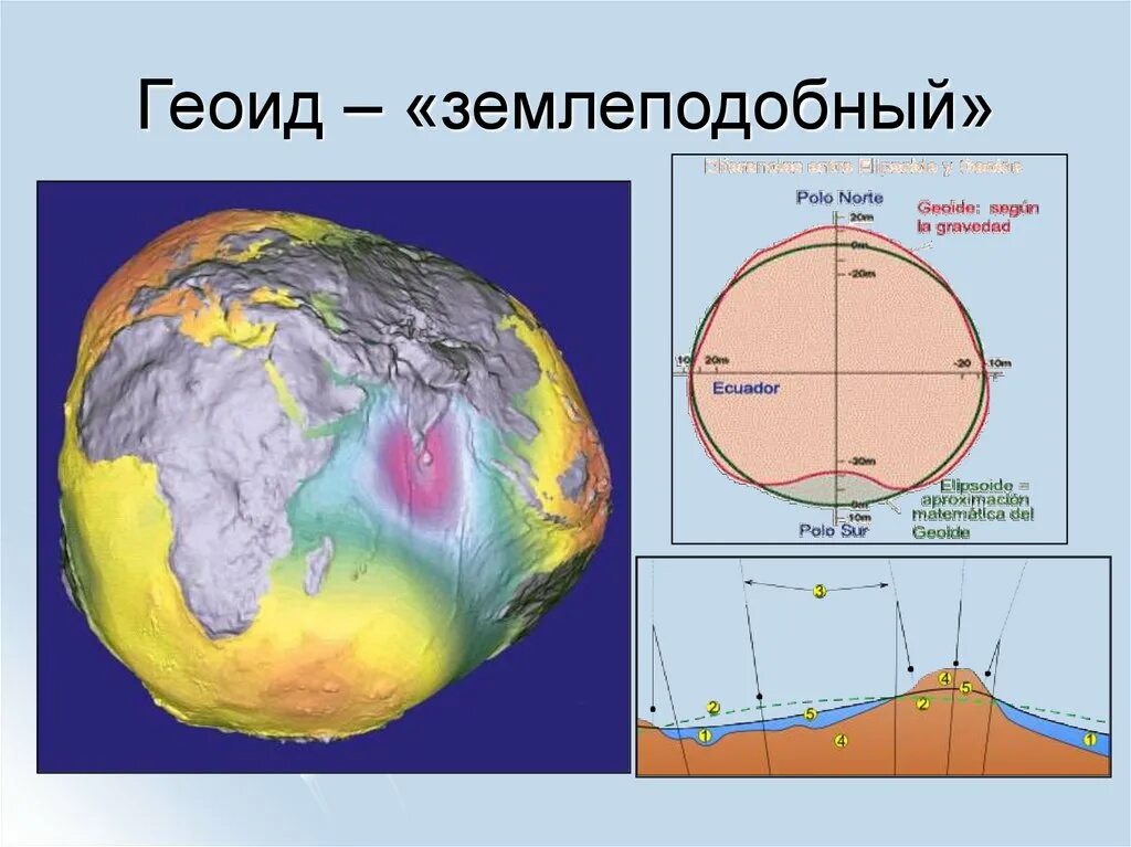 Шар сплюснутый у полюсов. Форма земли геоид. Формы эллипсоид геоид. Реальная форма земли геоид. Геоид шар эллипсоид.