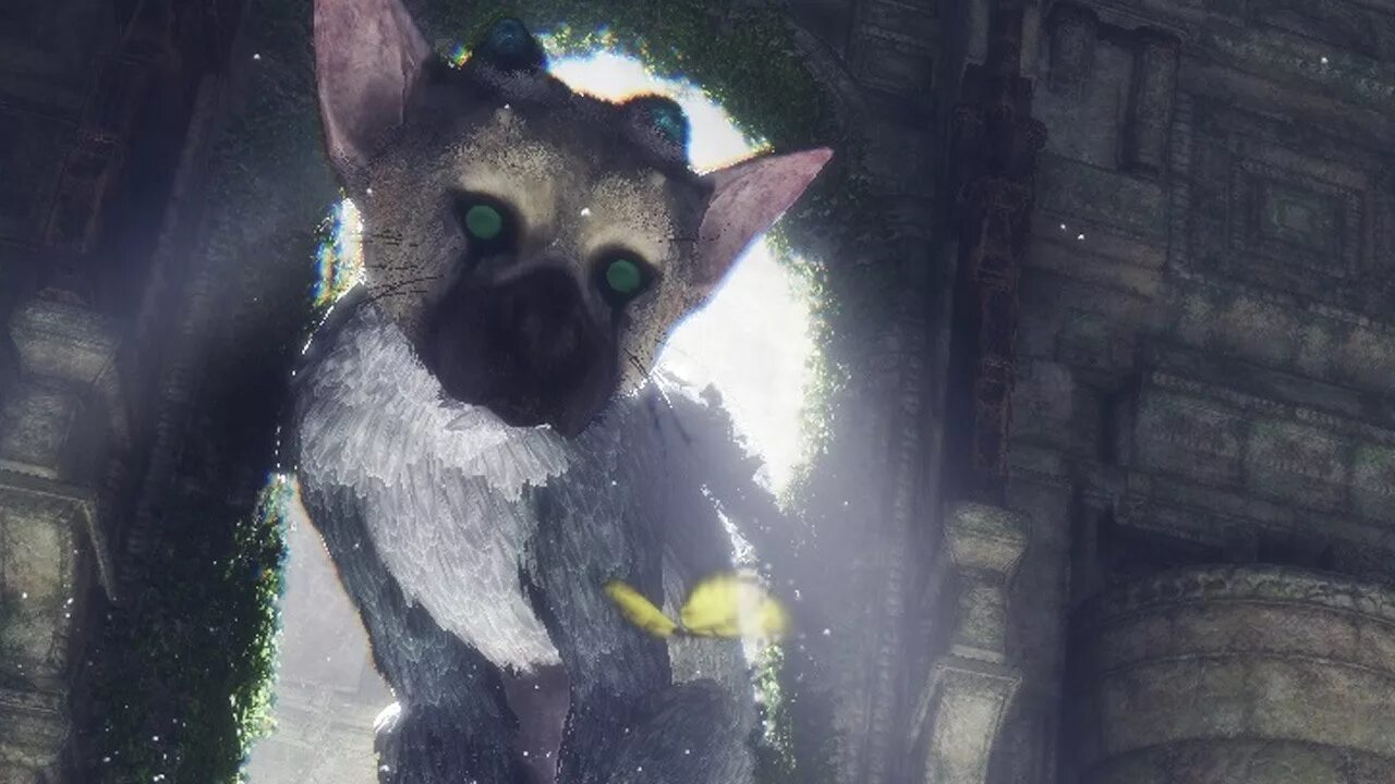 Игра the last guardian. Трико ласт Гардиан. Трико the last Guardian. Трико зверь the last Guardian.