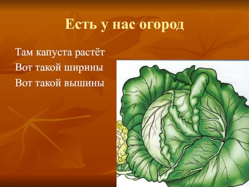 Пусто выросла капуста а в капусте. А в полете пусто выросла капуста. Капуста которая растет в земле. Пусто выросла капуста. Пусто выросла капуста.