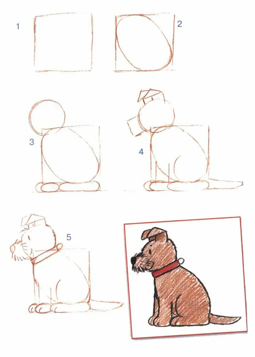 Схема собаки рисунок. Пошаговое рисование собаки. Поэтапное рисование собаки для детей. Схема рисования собаки для дошкольников. Поэтапное рисование собаки для дошкольников.