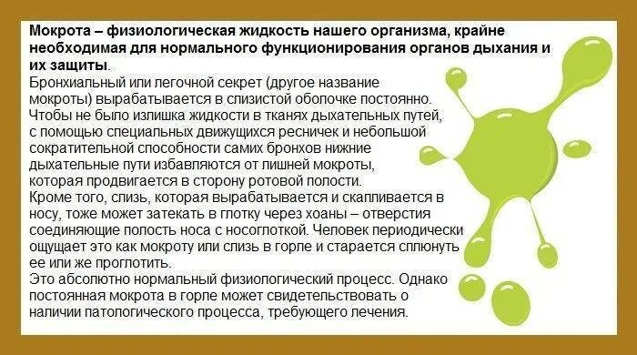 Мокрота у ребенка 5 лет