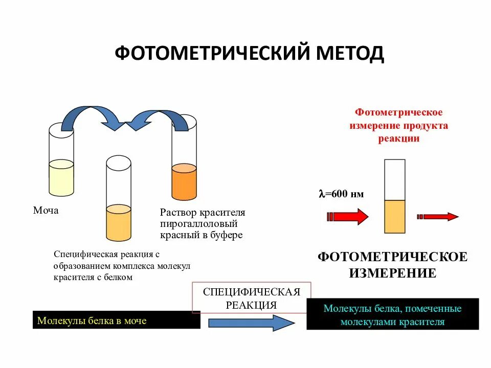 Моча реакция белок