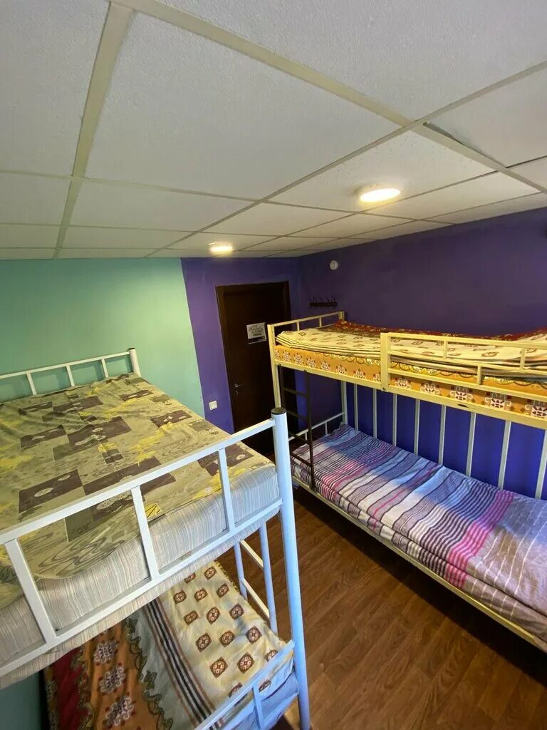 Хостел карамель электрозаводская. Хостел амиго рубцовск. Боров хостел. Общежитие рядом с пулково. Хостел сосновый бор конаково.