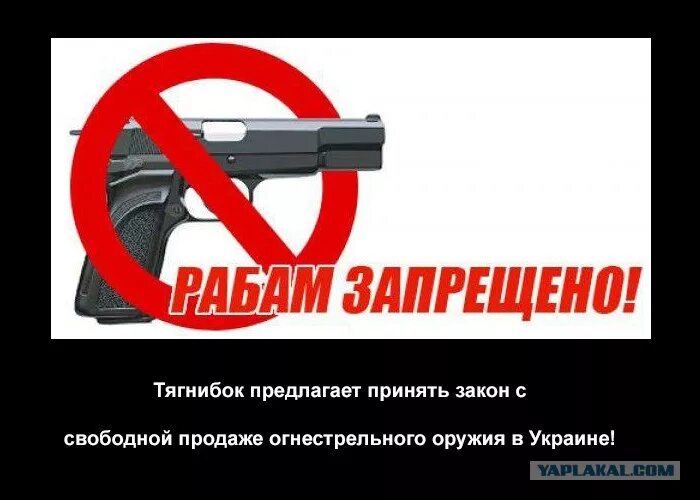 Запреты и ограничения огнестрельного оружия. Оружие запрещено. запрещенное оружие в россии. легализация оружия. легализация огнестрельного оружия в россии.