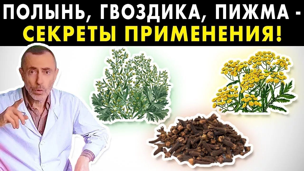 Гвоздика пижма тройчатка. Гвоздика пижма и полынь от паразитов. Тройчатка полынь пижма гвоздика. Полынь и гвоздика bioray. Тройчатка полынь пижма тысячелистник.