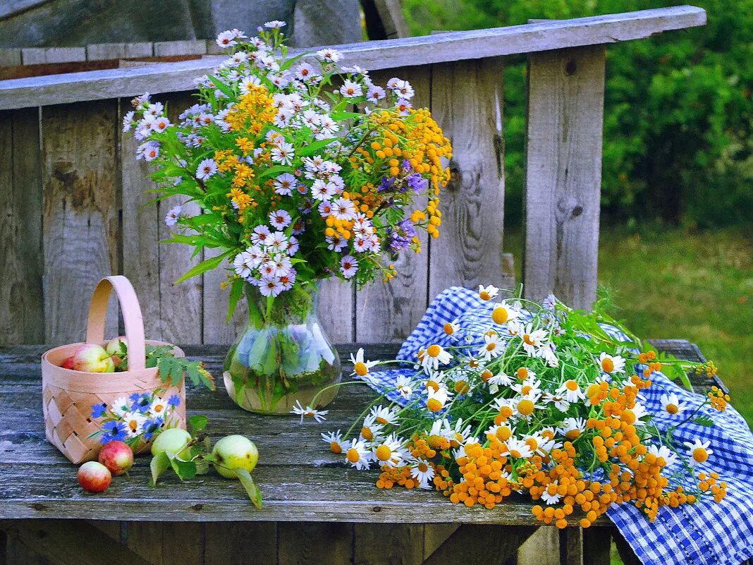 Утро 1 июля. Летние цветочные композиции. Композиция "летняя". Летние цветы. Летний натюрморт.