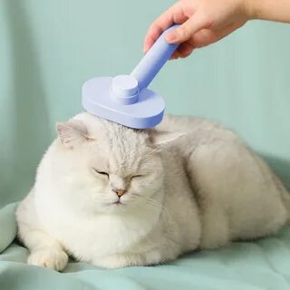 Self pet none позволяет