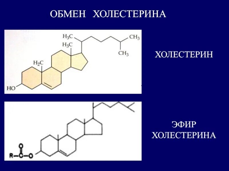 Формула холестерола. Эфир холестерола. Строение эфиров холестерина. Эфир холестерина формула. Образование эфиров холестерина.