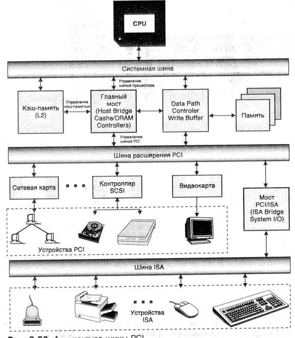 Основные информационные шины. Системные шины pci. графическое изображение локальная шина pci. аппаратное обеспечение системная шина. контроллер шины psi express.