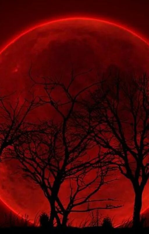 Красная луна затмение. Moon eclipse 2021. Лунное затмение кровавая луна. Ночь кровавой луны. Красная луна.