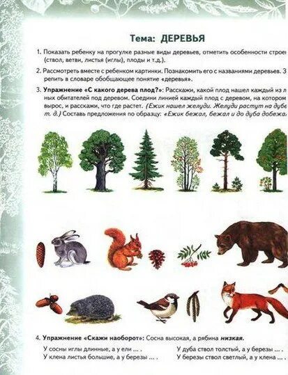 Развитие речи тема деревья. Лексическая тема деревья кустарники подготовительная группа. Логопедические домашние задания для детей 5-7 лет с онр деревья. Лексическая тема деревья кустарники подготовительная группа. Деревья задания логопеда для дошкольников.