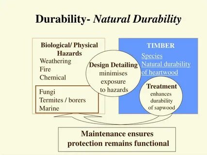 Durability viewer