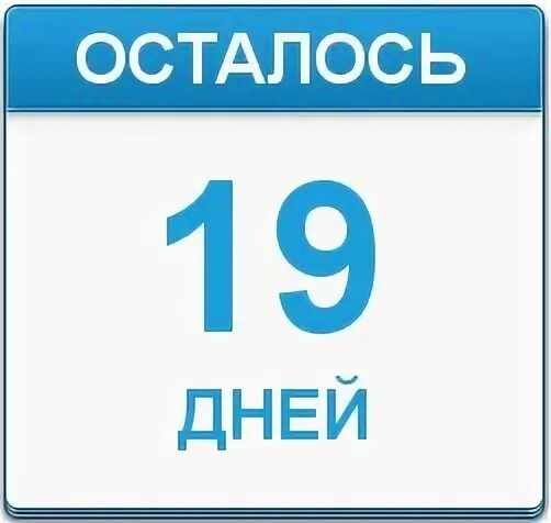 19 суток
