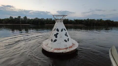 Что такое буи на реке