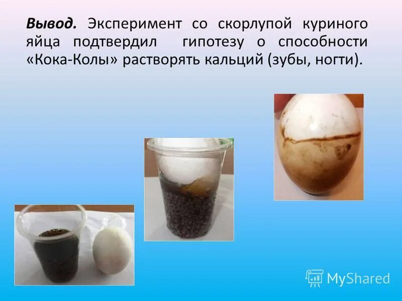 Опыты с вредной едой. Опыт с колой и яйцом. Опыт с яйцом и кока колой. Опыт с колой и яичной скорлупой. Опыты с яичной скорлупой.