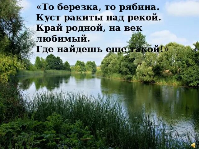 То берёзка то рябина куст Ракиты над рекой. Куст Ракиты над рекой стих. То берёзка то рябина куст Ракиты над рекой Автор. Край родной навек любимый.