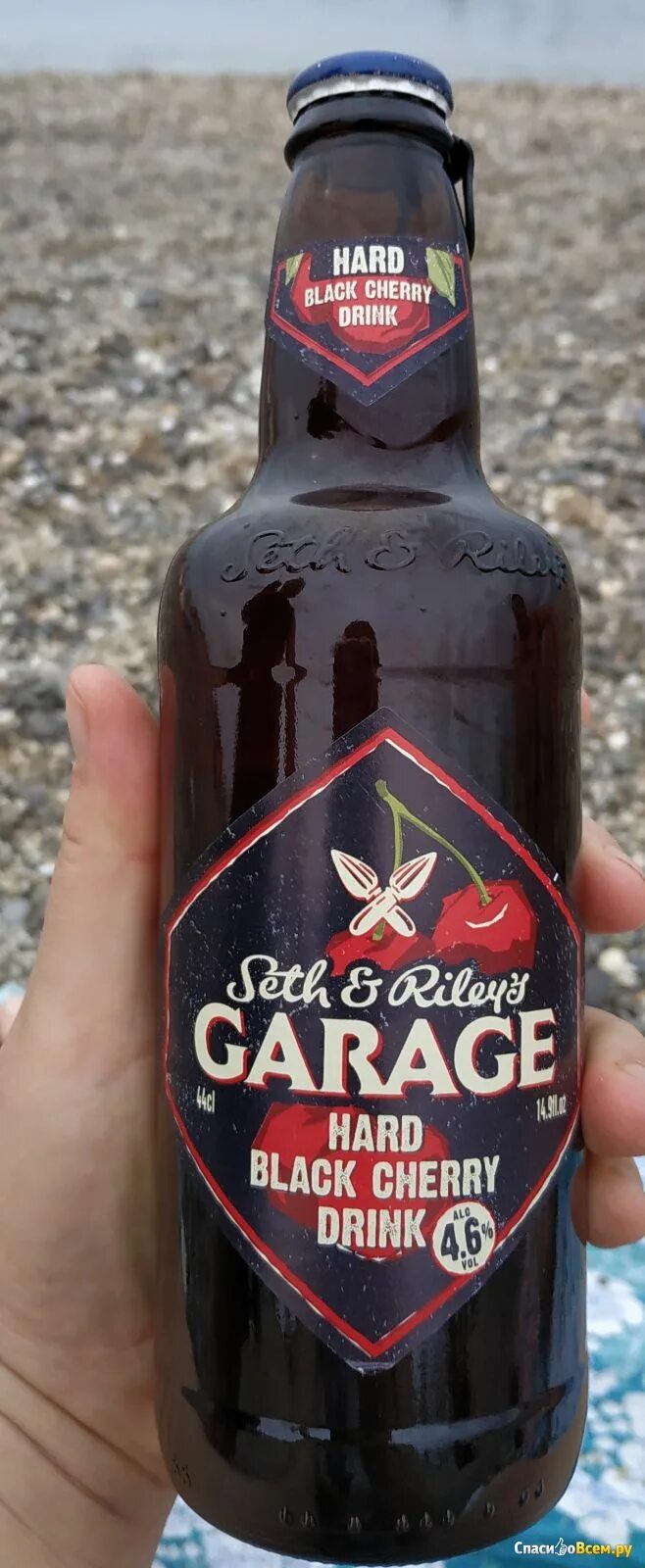 Обзор на пиво Гараж лимон, черная вишня, брусника. Garage lemon, lingonberry, bl