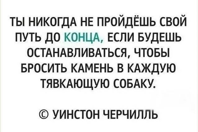 Чтобы бросить камень в каждую тявкающую собаку. Бросать камень в каждую лающую собаку. Если будешь кидать камень в каждую лающую собаку ты Черчилль. На каждую лающую собаку цитата. Вправо принимаем останавливаемся