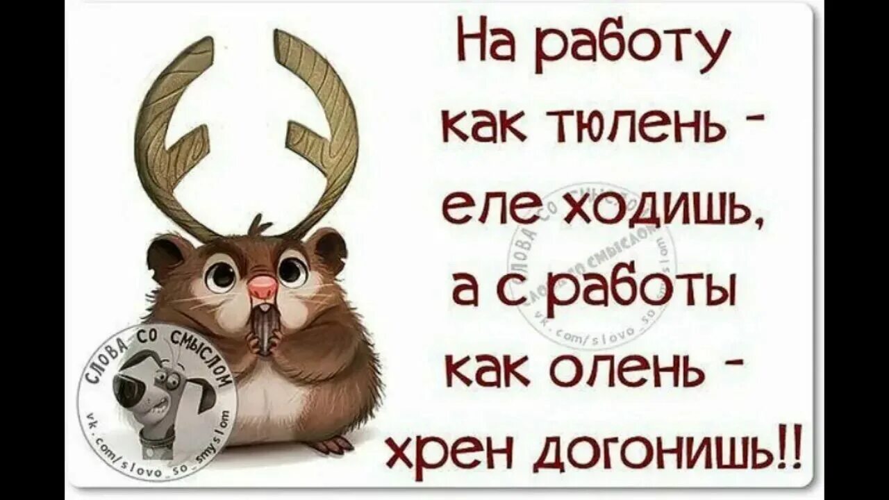 Веселые цитаты. Прикольные высказывания про работу. Статусы про работу короткие. Смешные фразы про работу. Смешные высказывания про работу.