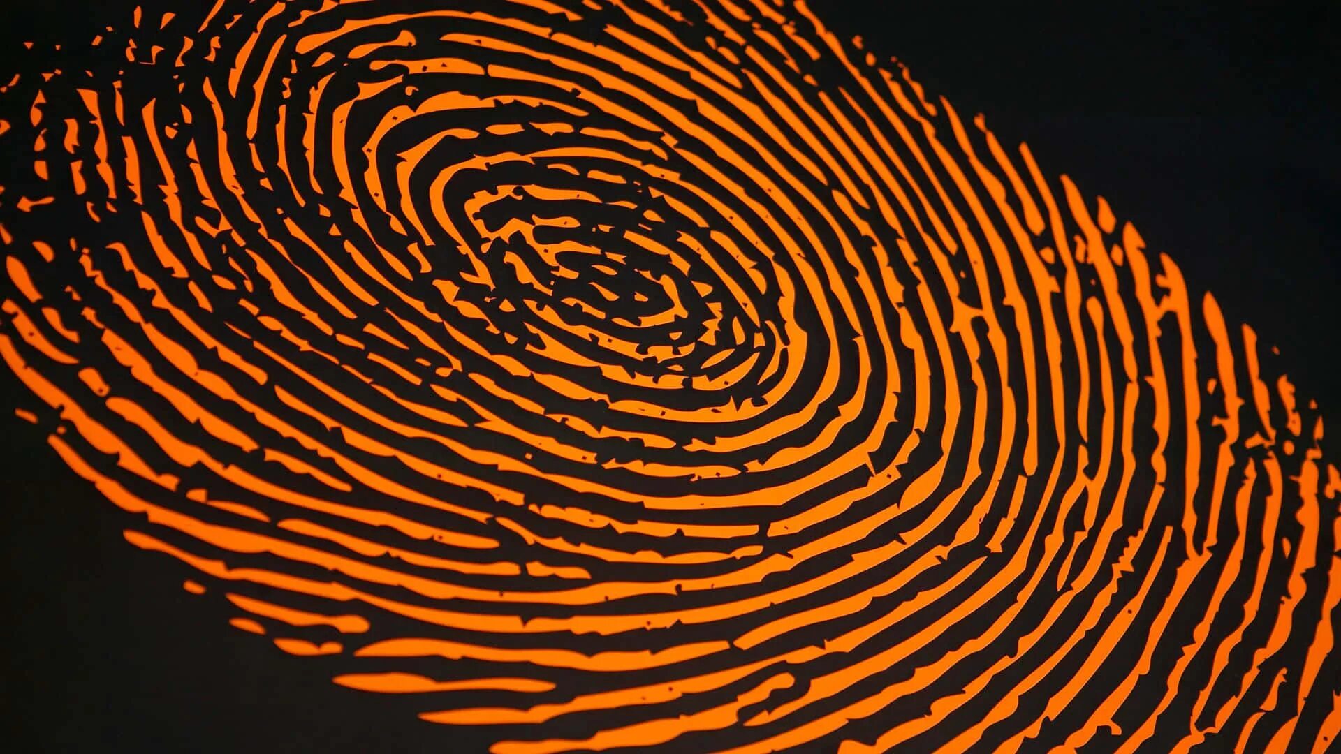 Fingerprints pro. Отпечаток пальца биометрия. Узор отпечатка пальца. Отпечаток пальца без фона. Отпечаток пальца фото.