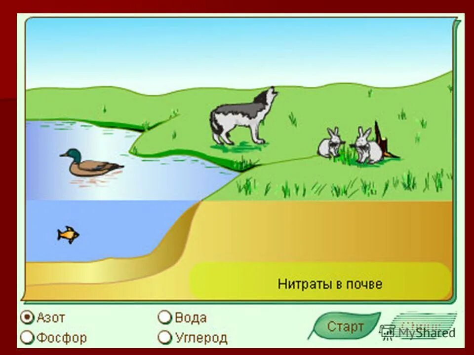 Связь организмов и окружающей. Связь организмов и окружающей их среды. Модель связи организмов и окружающей среды. Модель связи организмов и окружающей их среды. Рисунок связь организмов и окружающей среды.