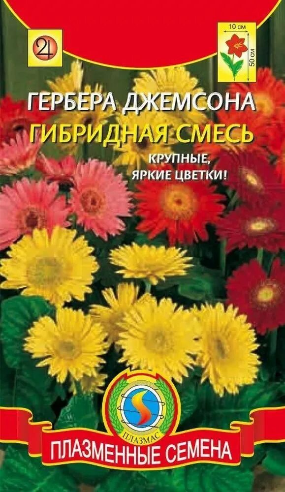 Гербера джеймсона f1. Гербера джемсона комнатная. Гербера джемсона гибрид смесь. Семена герберы джемсона. Гербера джемсона семена алтая.