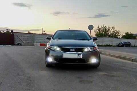 Туманки на церато