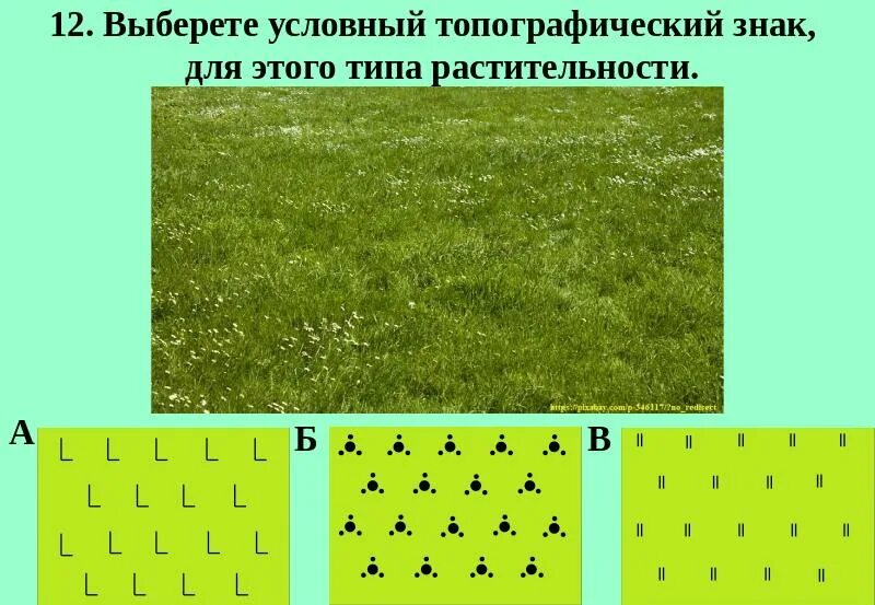 Обозначения леса на карт. Топографические условные знаки растительность. Растительный Покров условные знаки. Условные геодезические знаки растительность. Условный знак степь.