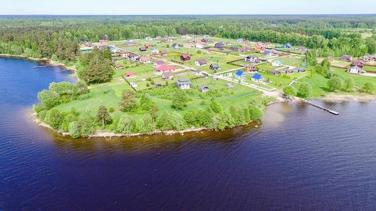 Озеро Врево Лужский. Врево (озеро, Ленинградская область). Озеро врёво Лужского района. Озеро Врево база.