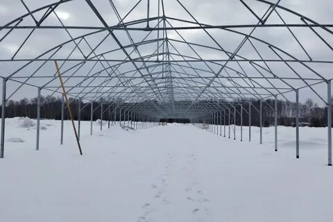Теплица 12