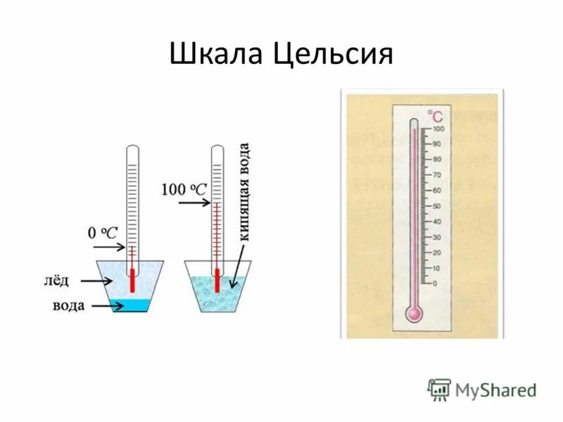 Изображение шкалы цельсия. Шкала Цельсия. Термометр со шкалой Цельсия. Температурная шкала Цельсия. Шкала Цельсия градусник.