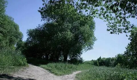 Село рядом