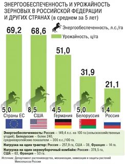1 гектар пшеницы