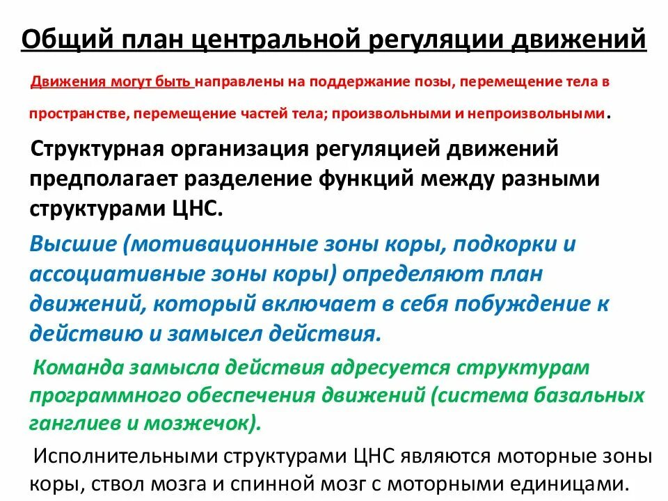 Анализы цнс. Центральные механизмы организации движений физиология. Организация центральной регуляции движений. Общая схема регуляции движений. Основные принципы регуляции движения у человека.