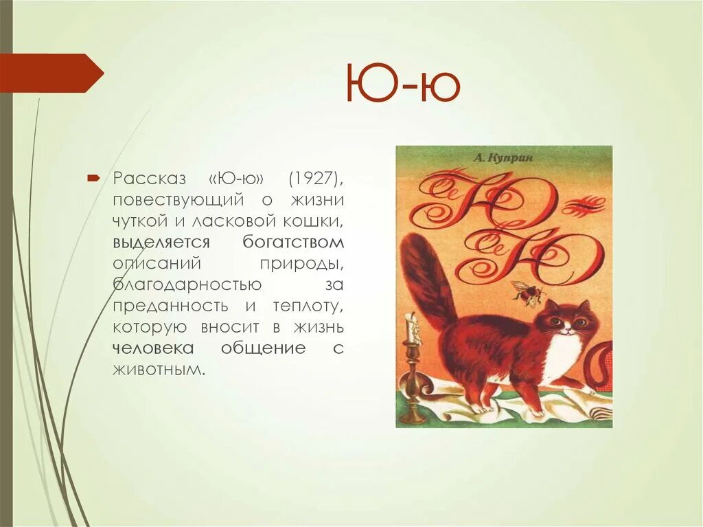 Главный герой произведения ю ю. Рассказ ю-ю Куприн. Краткое содержание рассказа ю-ю. Рассказ про кошку ЮЮ.