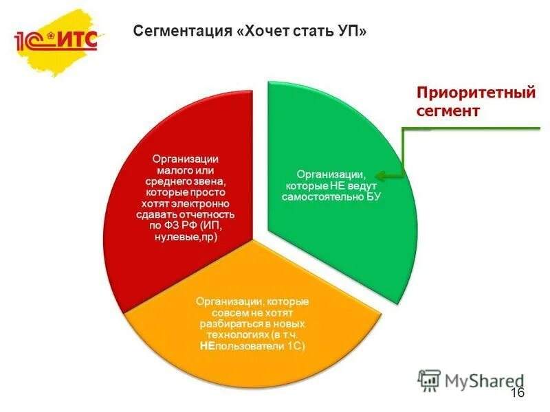 Сегмент организации это