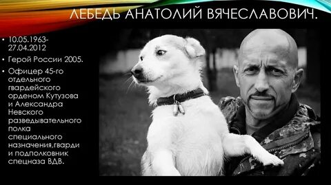 Анатолии лебеде