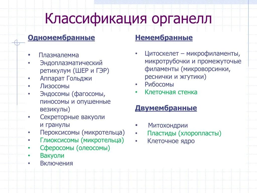 Одномембранные органоиды клетки функции. Одномембранные органеллы клетки. Мембранные и немембранные органоиды. Строение клетки мембранные и немембранные структуры. Строение клеток мембранные органоиды