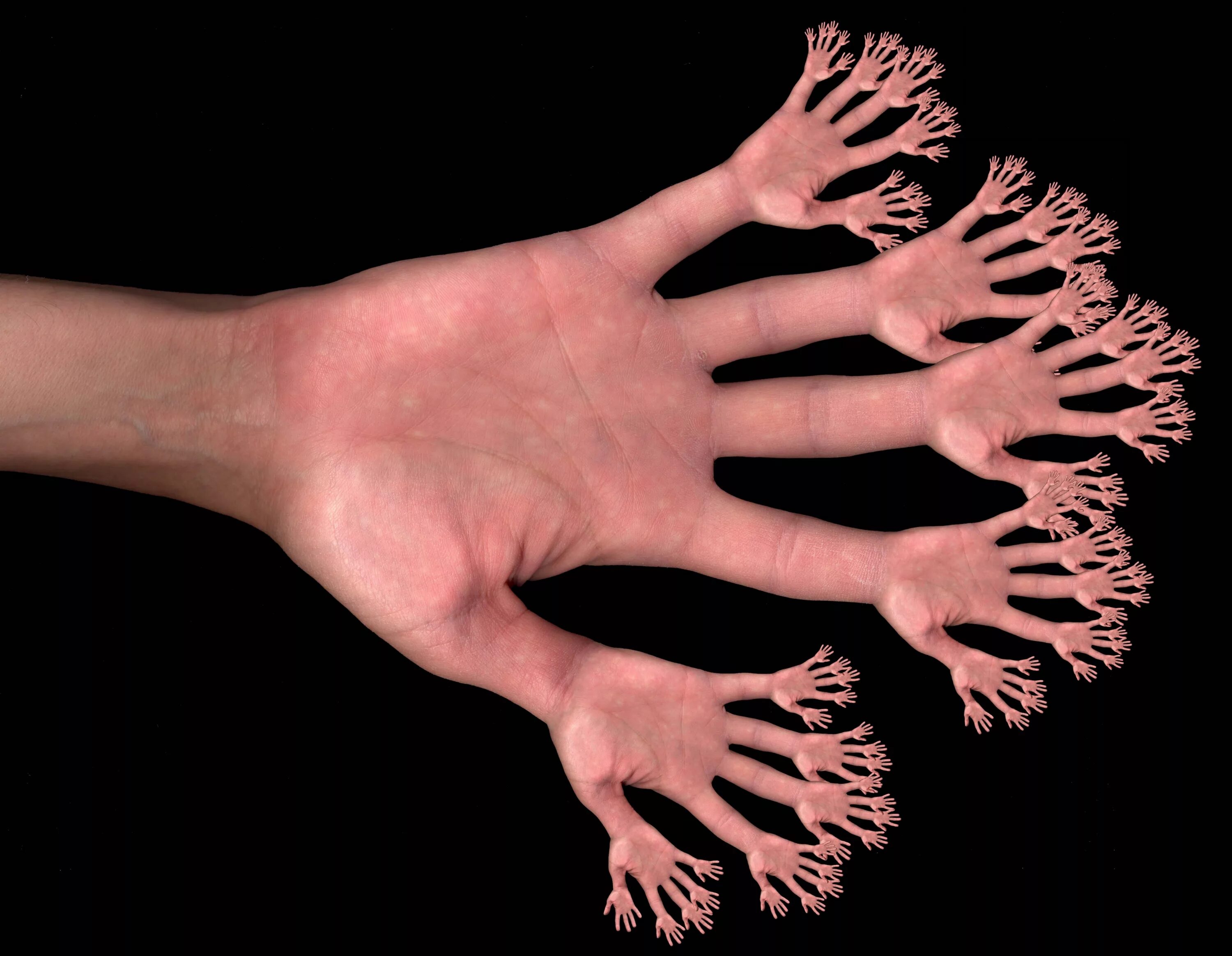 Как появились руки. Десять пальцев на руке. Человеческая рука.