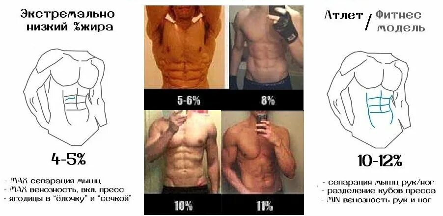 Как определить количество жира. Масса жировой ткани норма. 15 жира у мужчин. Как определить количество жира. Процентное соотношение жира в организме.