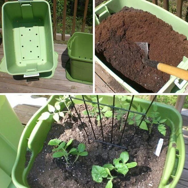 10 садовых хитростей для продвинутых дачников Garden hacks diy, Gardening tips, 