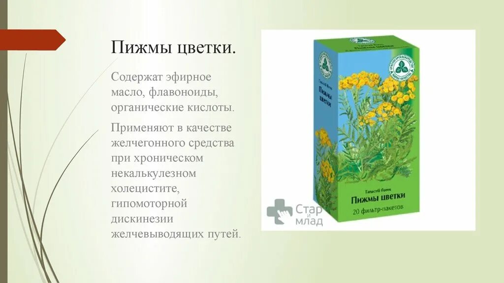 Настойка желчного пузыря. Пижма обыкновенная лекарственные препараты. Желчегонные препараты бессмертник. Бессмертник песчаный лекарственные препараты. Трава желчегонная бессмертник.