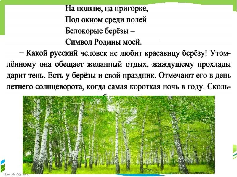 И. Соколов-Микитов «русский лес» береза. Соколов Микитов береза. Рассказ русский лес. Презентация русский лес. В лесу текст 8 класс русский