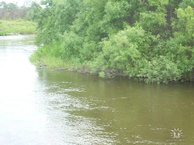 Река Рыбная Красноярский край. Село Рыбное Красноярский край река Рыбное. Усть Кандыга Красноярский край Рыбинский район. Посёлок Урал Рыбинский район Красноярский край.