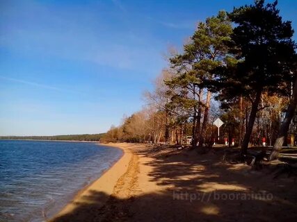 Боровое новосибирская