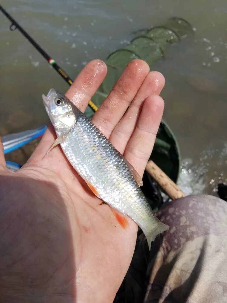 Красно водохранилище